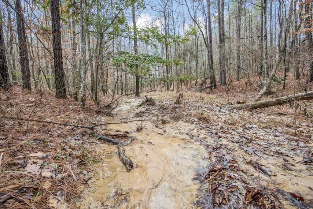 100 Acres in West Feliciana with 2 Bed/1 Bath Camp