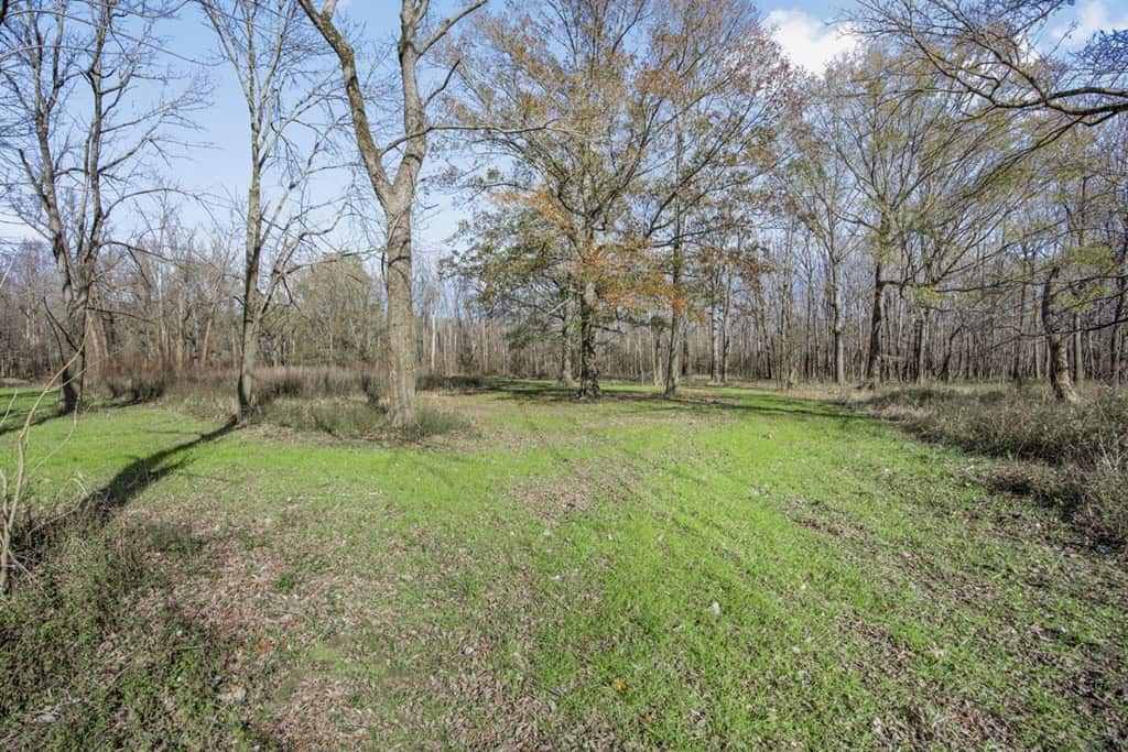 Hunting Land for Sale in The MS Delta