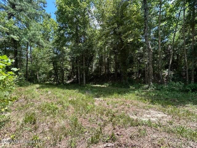 8± Acres in McCall Creek, MS with Creek Frontage