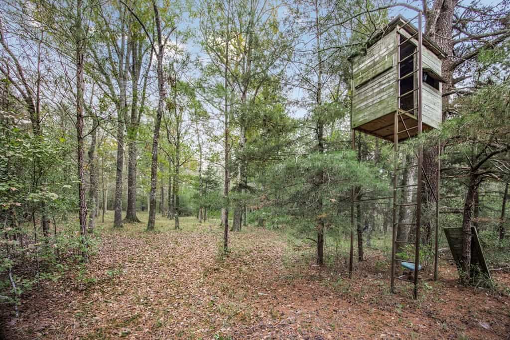 77 Acres with Camp for Sale in Simpson County, MS