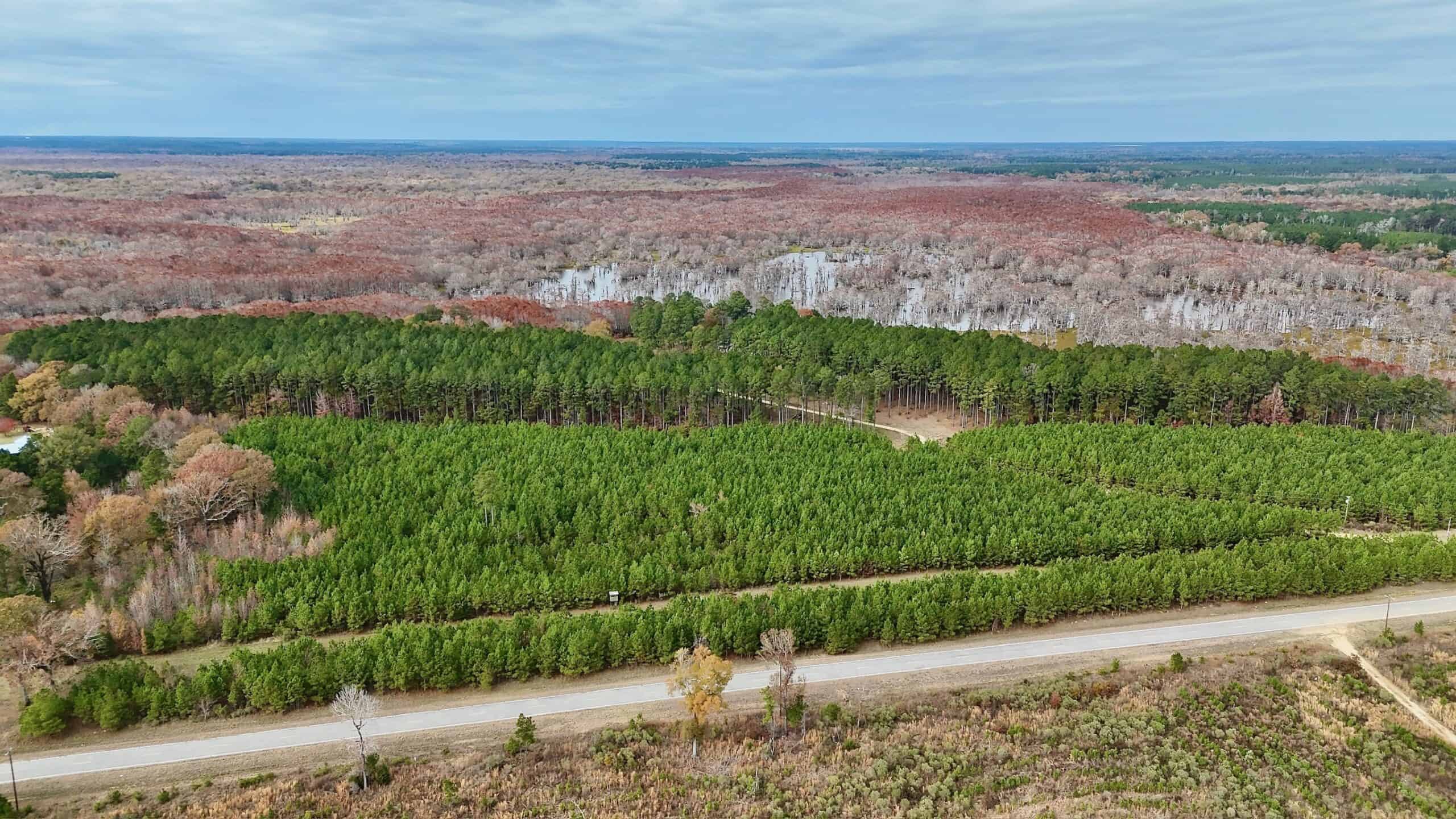 17+/- Acre Homesite and Hunting Property for Sale in Lasalle