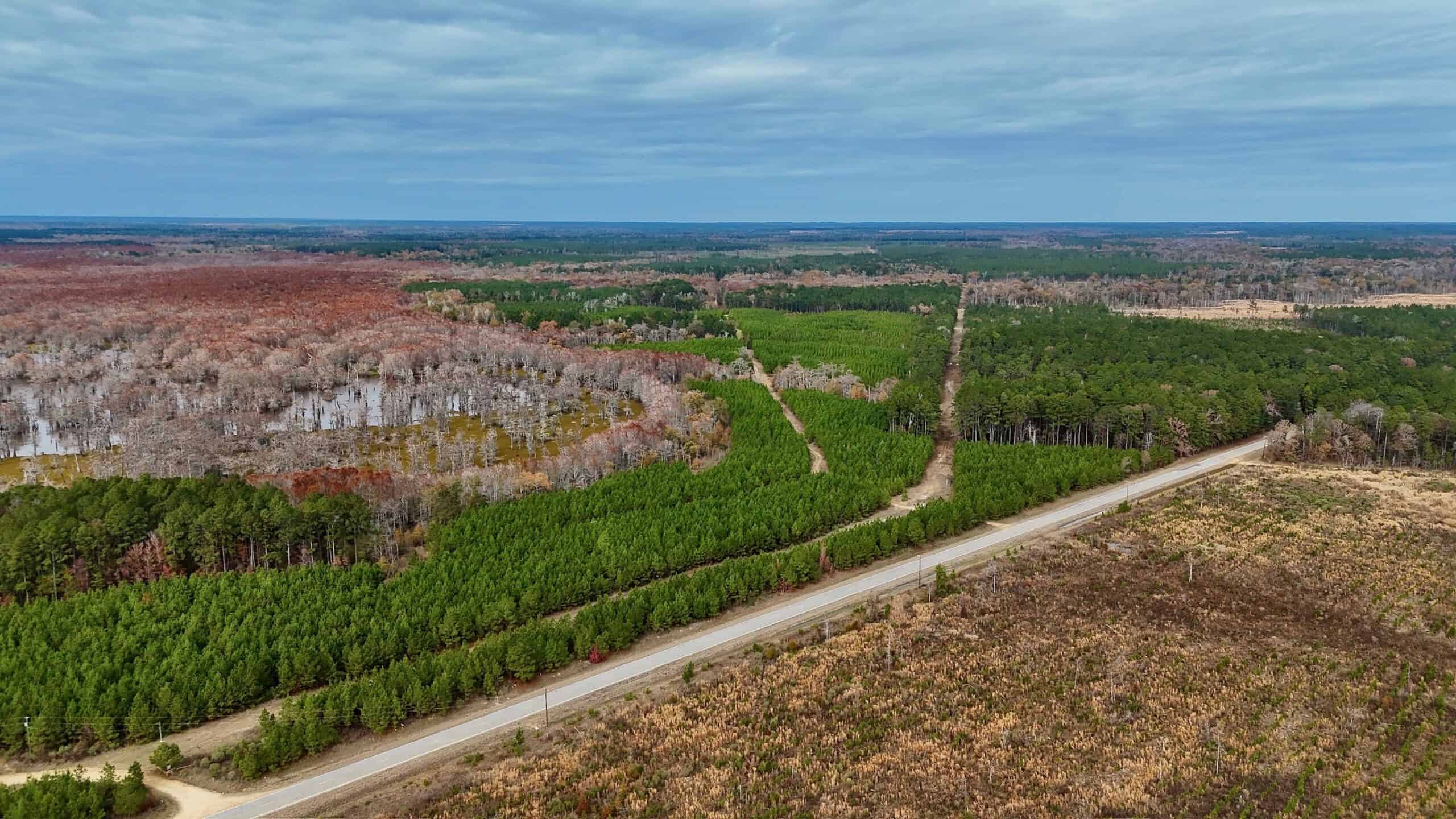65+/- Acre Hunting Property and Homesite Near Kitterlin Bay