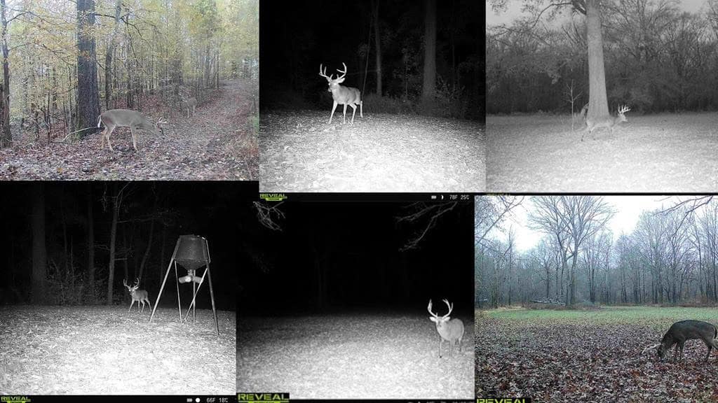 Hunting Land for Sale in The MS Delta