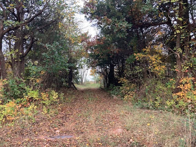 HUNTING/RECREATIONAL LAND FOR SALE, KENDRICK, OK