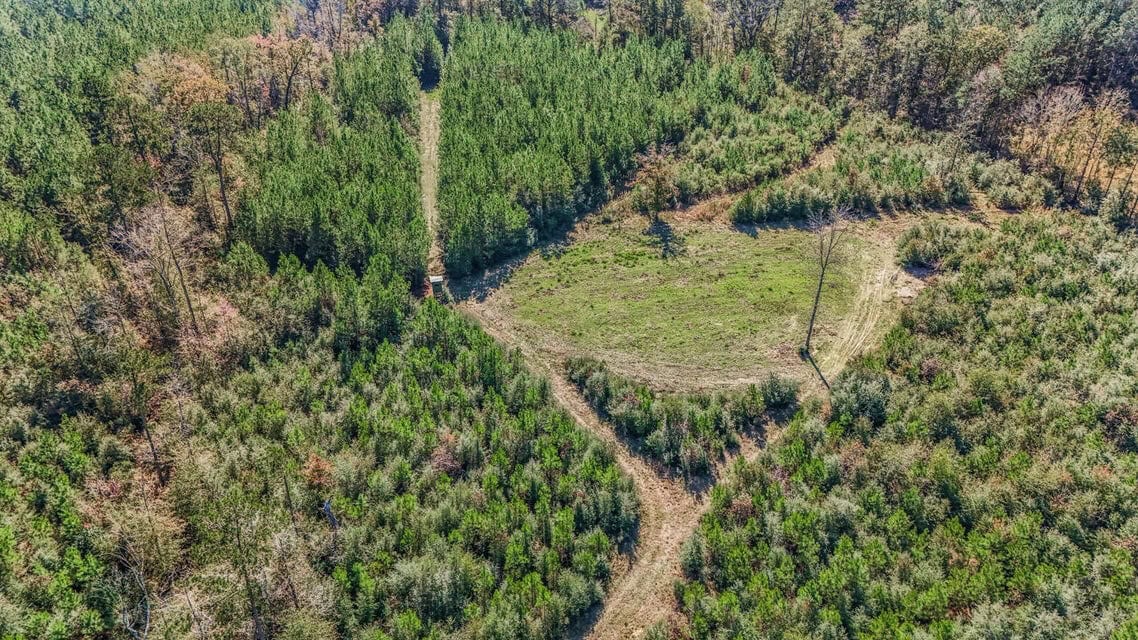150 Acres For Sale Amite County – Will Divide