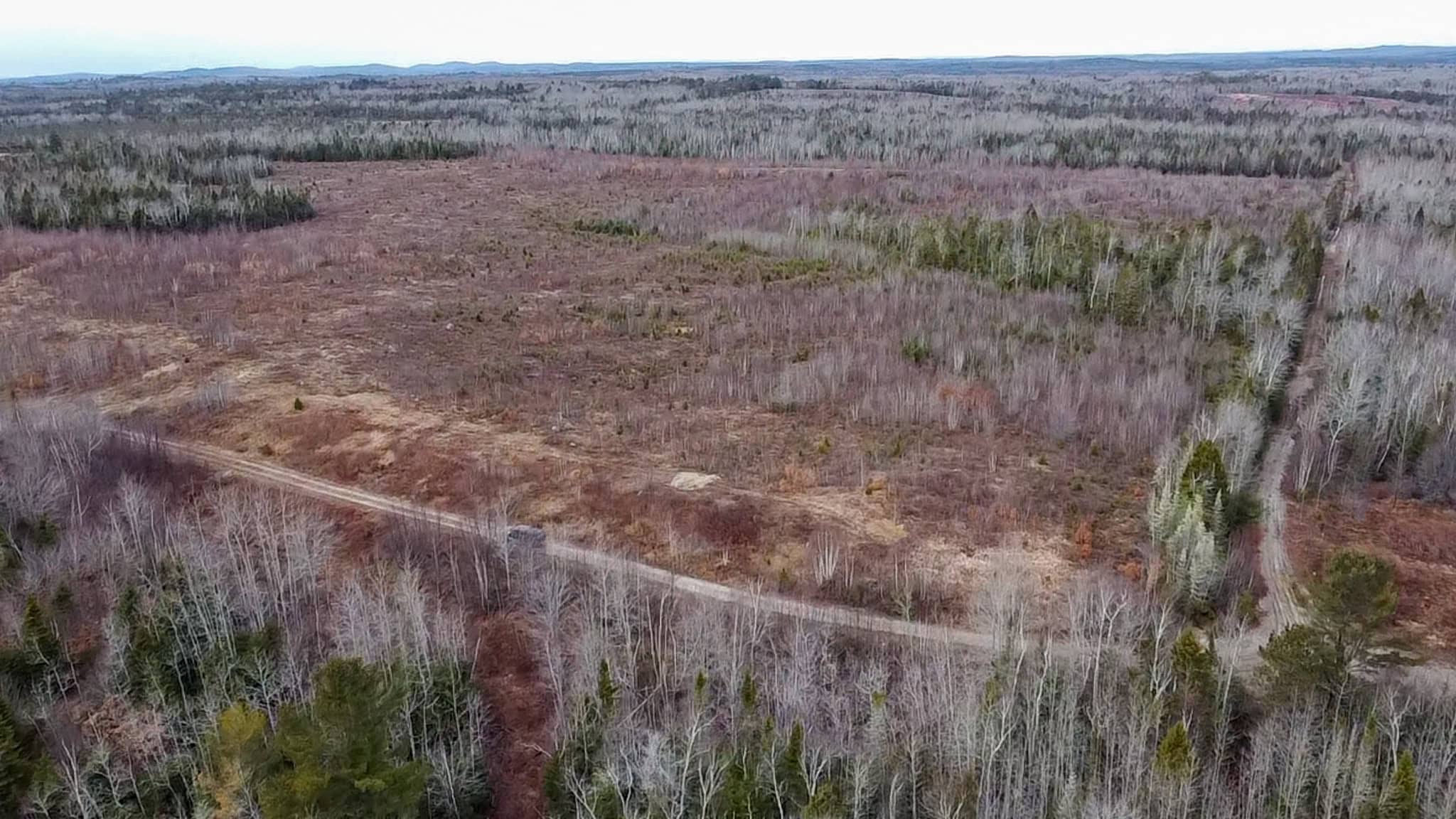 327± Acres with 3500 Feet of Brook Frontage