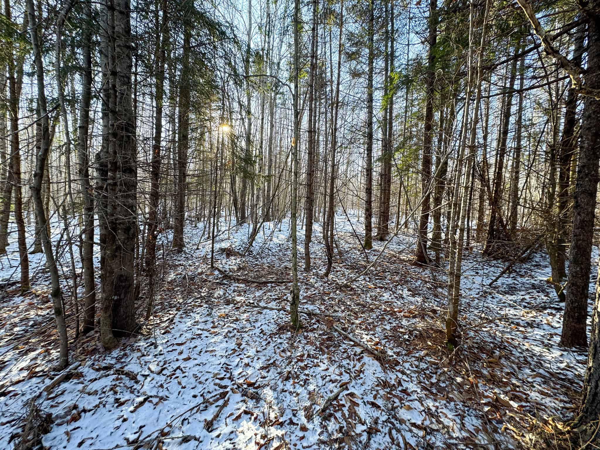 40 Acre Retreat Surrounded by The Downeast Lakes
