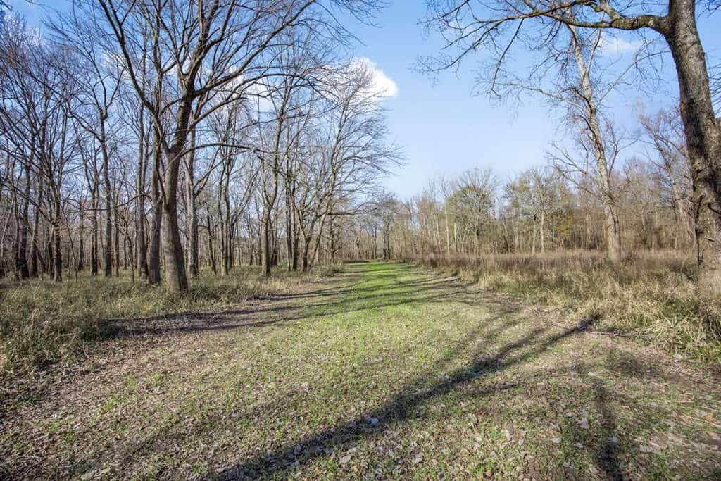 Hunting Land for Sale in The MS Delta