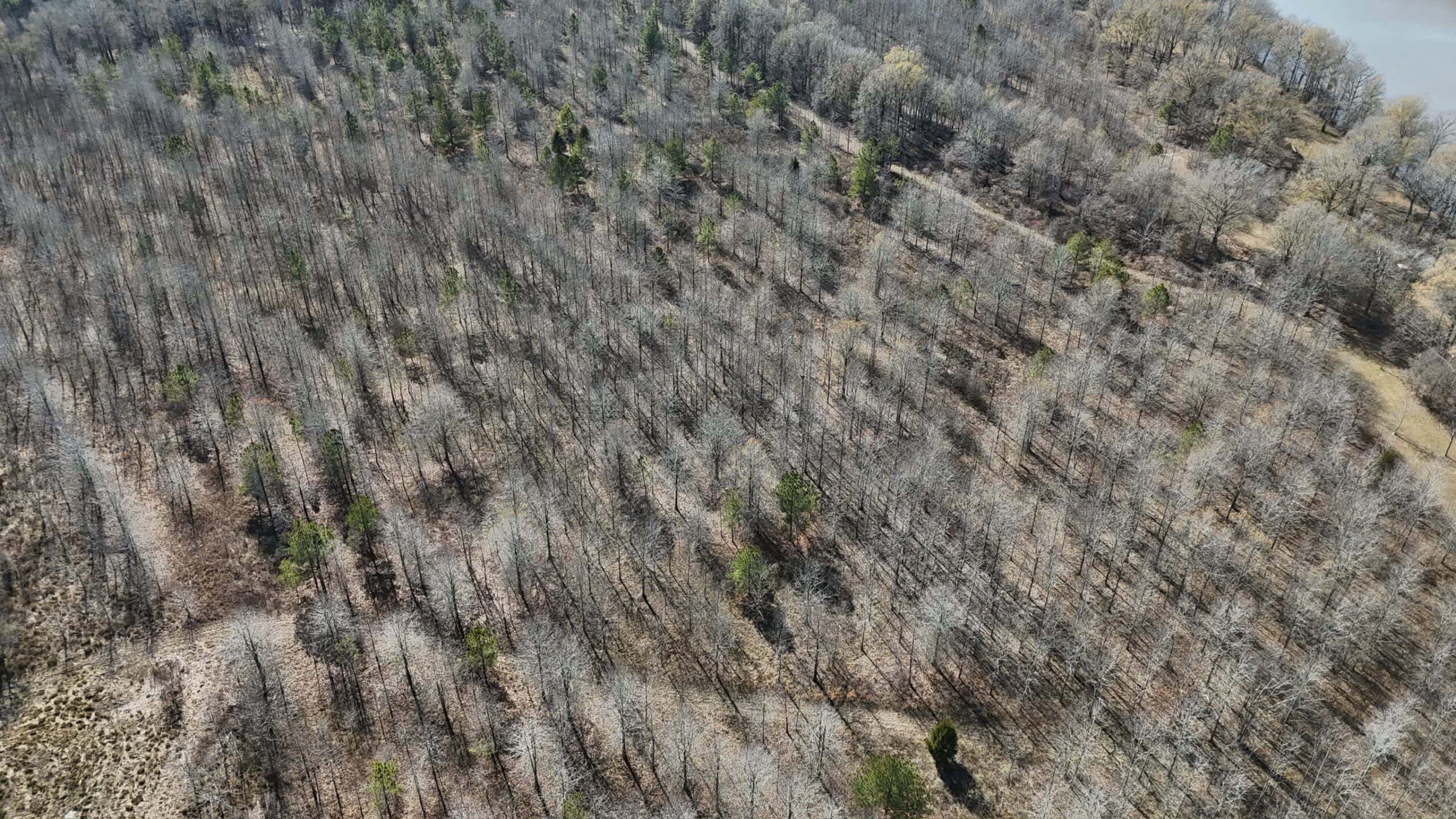 Duck and Deer Hunting Land with a Camp Spot for Sale