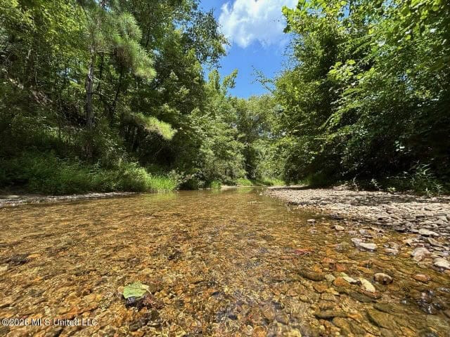 8± Acres in McCall Creek, MS with Creek Frontage