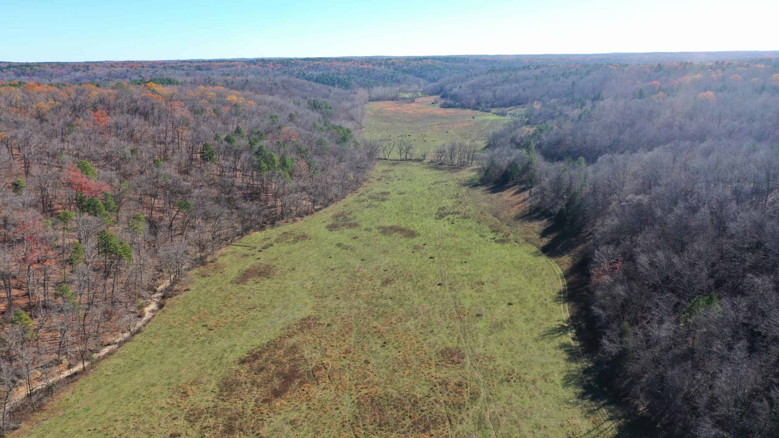 Farm and Home for Sale in Bunker, Missouri