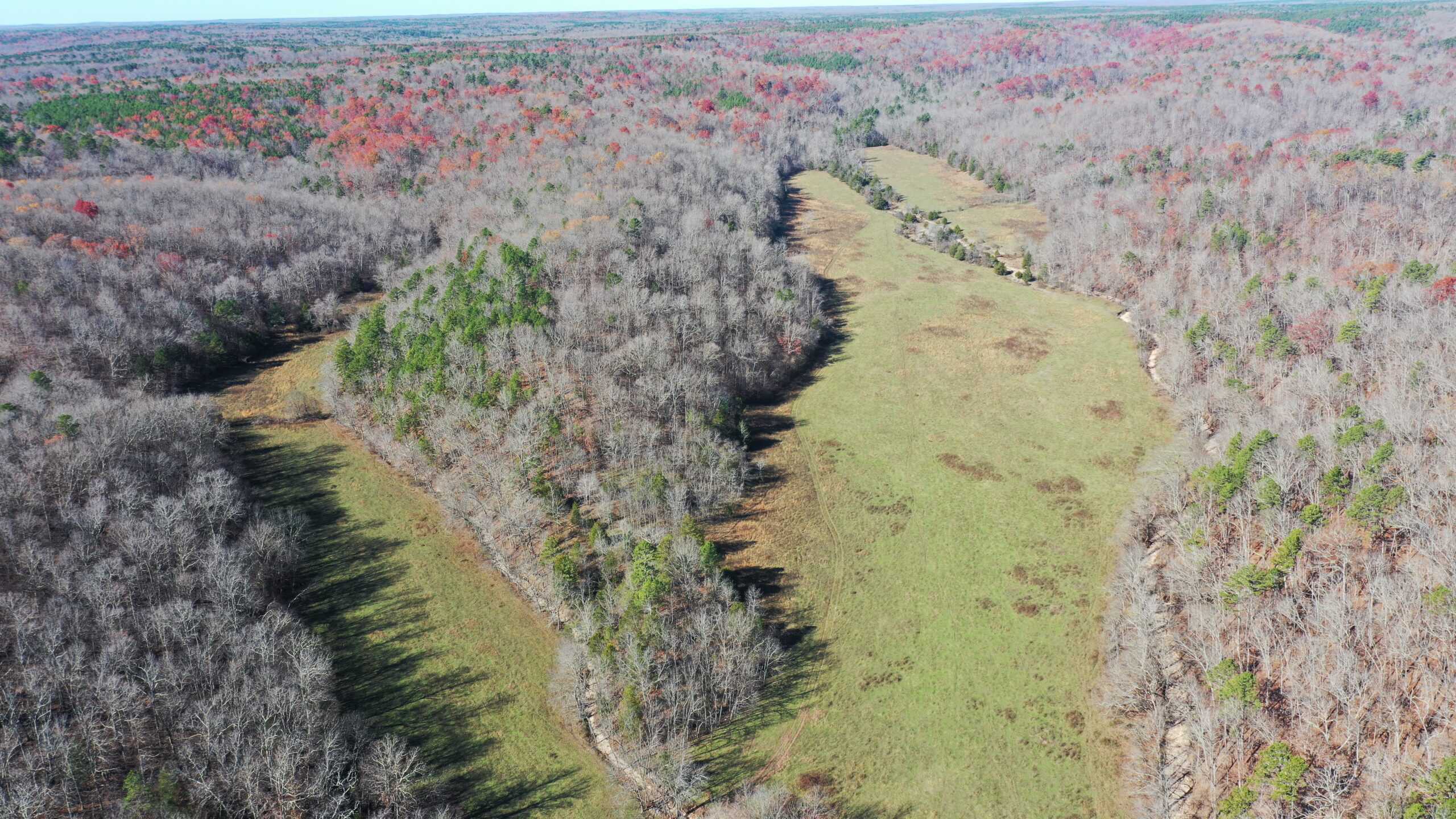 Farm and Home for Sale in Bunker, Missouri