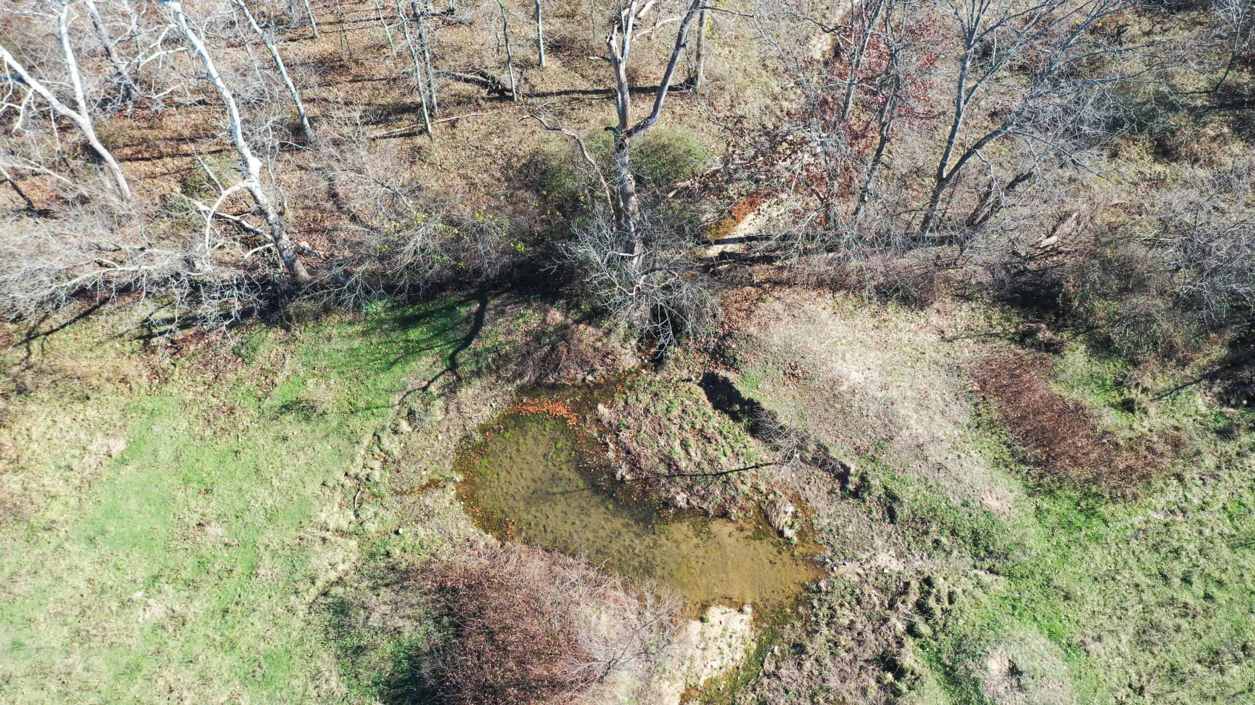 Farm and Home for Sale in Bunker, Missouri