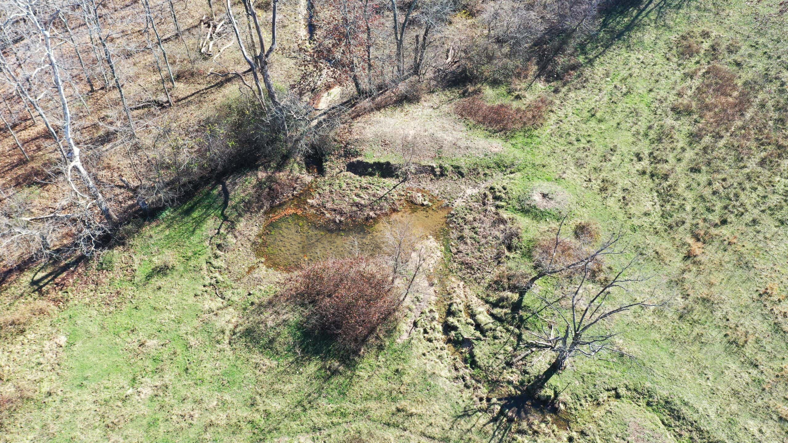 Farm and Home for Sale in Bunker, Missouri