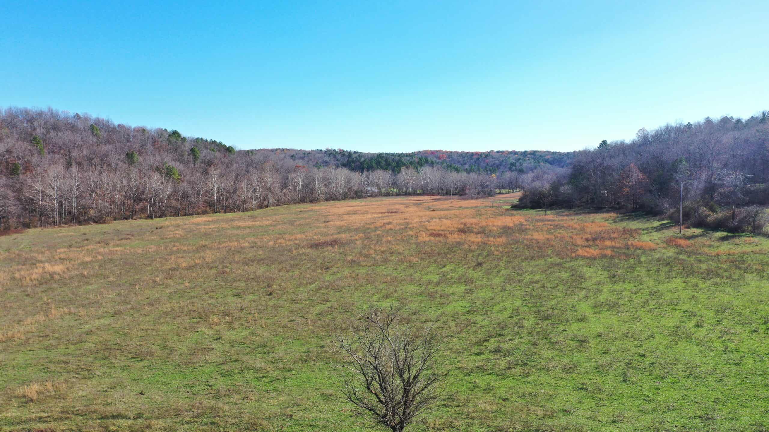 Farm and Home for Sale in Bunker, Missouri