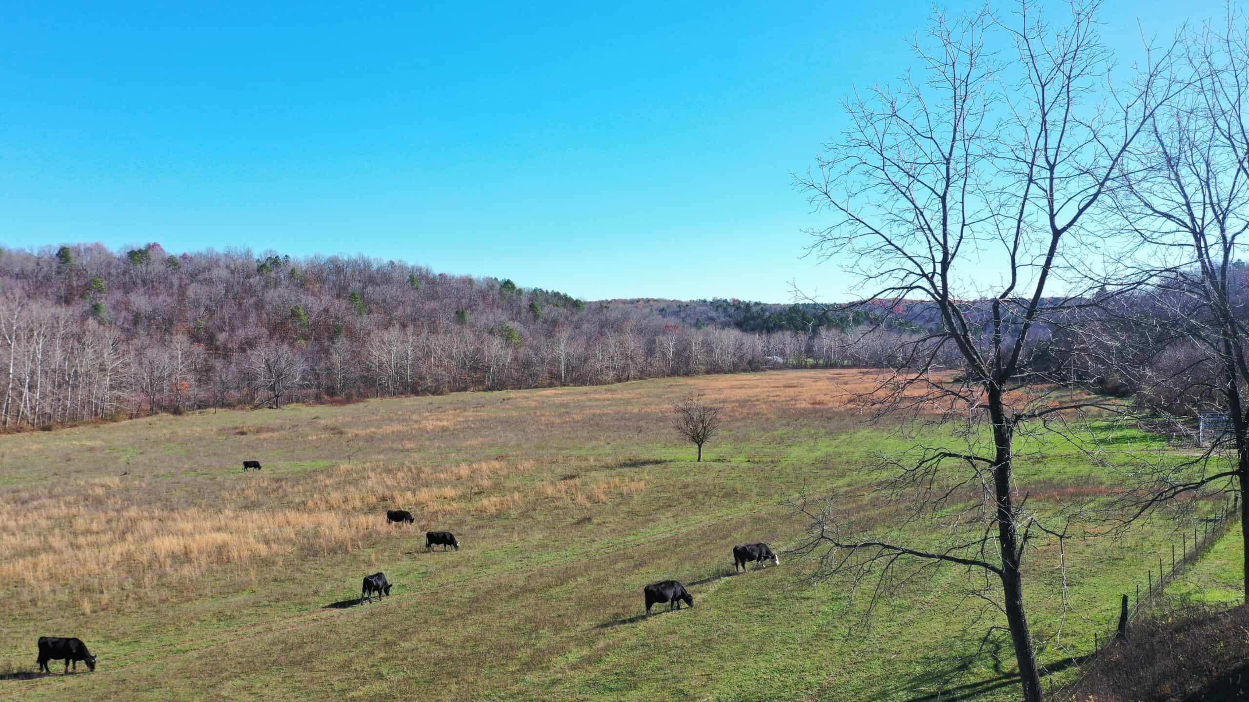 Farm and Home for Sale in Bunker, Missouri