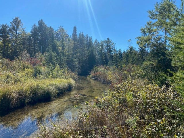 56 Acres of Woodlands & Waterfront Serenity in Atlanta MI