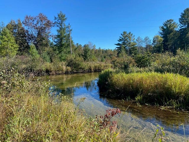 56 Acres of Woodlands & Waterfront Serenity in Atlanta MI