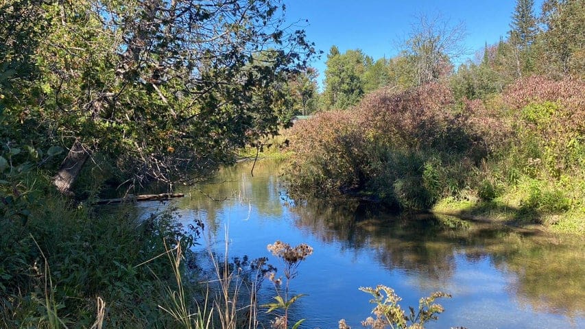 56 Acres of Woodlands & Waterfront Serenity in Atlanta MI