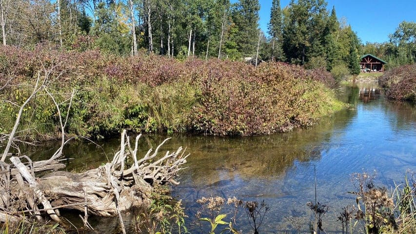 56 Acres of Woodlands & Waterfront Serenity in Atlanta MI