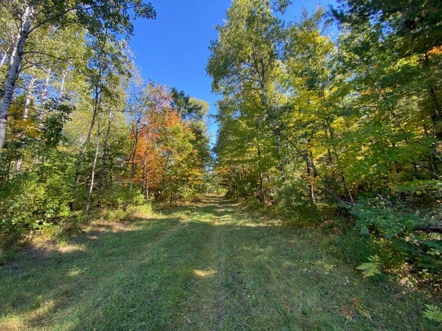 56 Acres of Woodlands & Waterfront Serenity in Atlanta MI