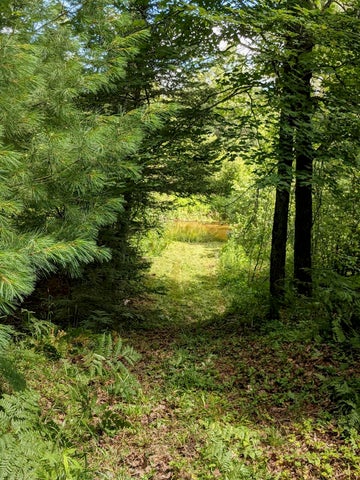 56 Acres of Woodlands & Waterfront Serenity in Atlanta MI