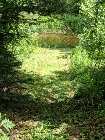 56 Acres of Woodlands & Waterfront Serenity in Atlanta MI