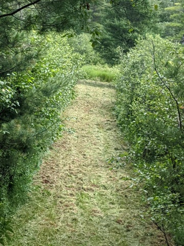 56 Acres of Woodlands & Waterfront Serenity in Atlanta MI