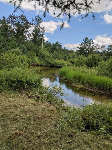 56 Acres of Woodlands & Waterfront Serenity in Atlanta MI