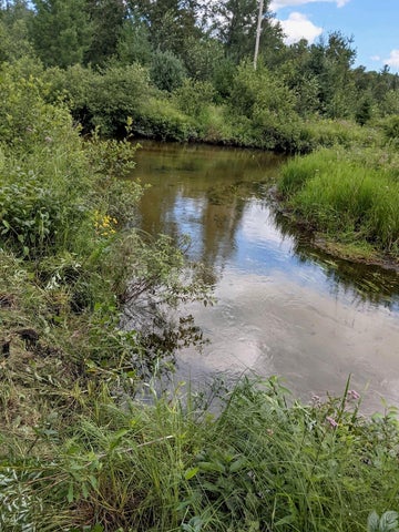 56 Acres of Woodlands & Waterfront Serenity in Atlanta MI