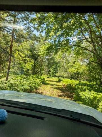 56 Acres of Woodlands & Waterfront Serenity in Atlanta MI