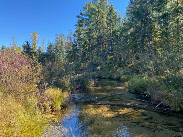 56 Acres of Woodlands & Waterfront Serenity in Atlanta MI