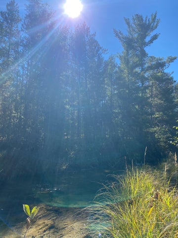 56 Acres of Woodlands & Waterfront Serenity in Atlanta MI