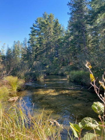 56 Acres of Woodlands & Waterfront Serenity in Atlanta MI