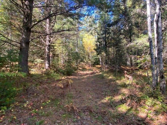 56 Acres of Woodlands & Waterfront Serenity in Atlanta MI