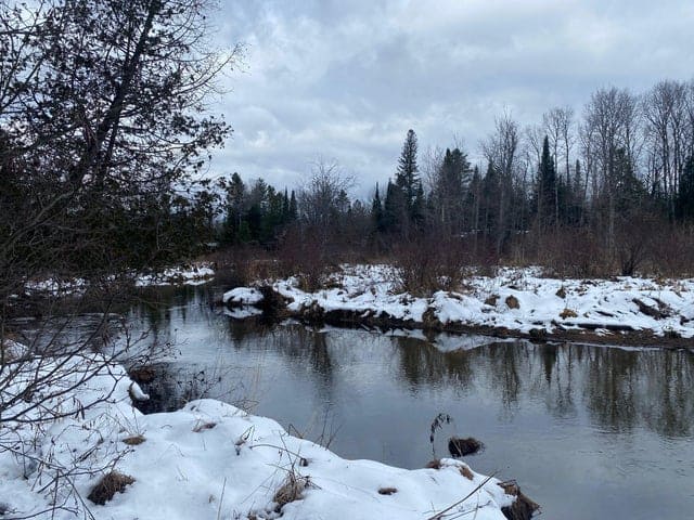 56 Acres of Woodlands & Waterfront Serenity in Atlanta MI