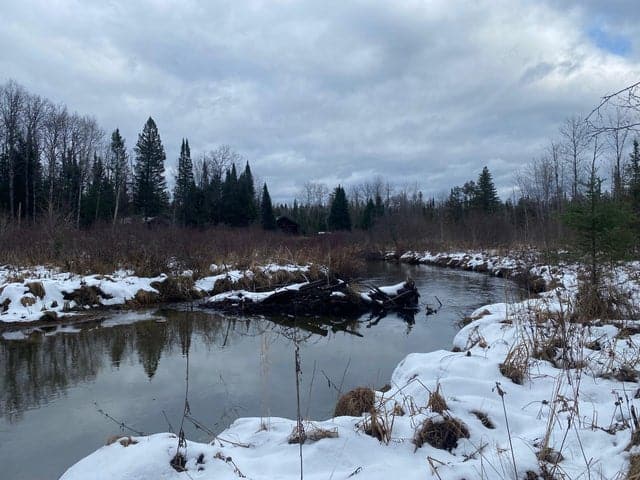 56 Acres of Woodlands & Waterfront Serenity in Atlanta MI