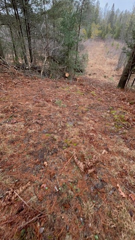 56 Acres of Woodlands & Waterfront Serenity in Atlanta MI