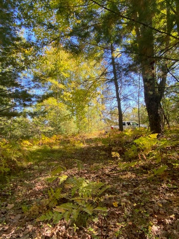 56 Acres of Woodlands & Waterfront Serenity in Atlanta MI