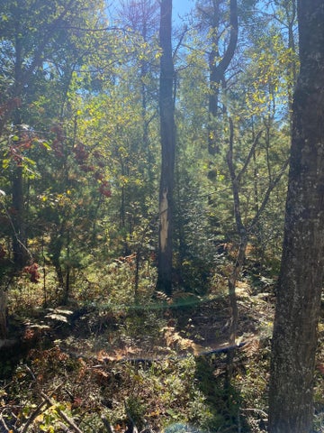 56 Acres of Woodlands & Waterfront Serenity in Atlanta MI