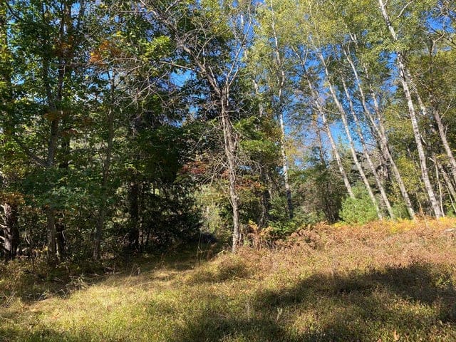 56 Acres of Woodlands & Waterfront Serenity in Atlanta MI