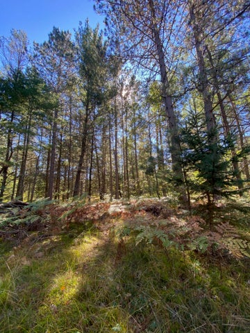 56 Acres of Woodlands & Waterfront Serenity in Atlanta MI