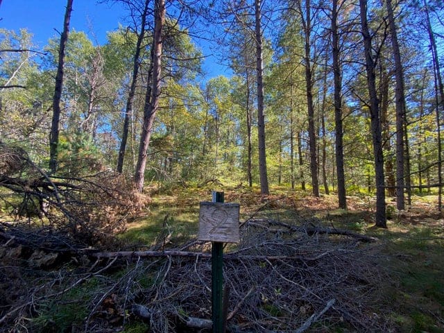 56 Acres of Woodlands & Waterfront Serenity in Atlanta MI