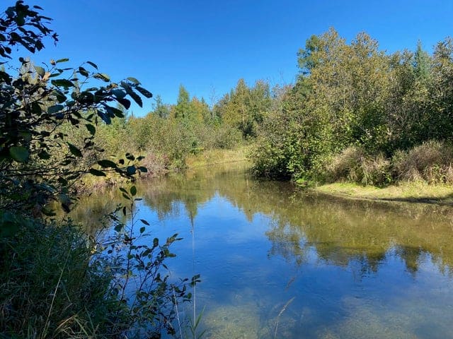 56 Acres of Woodlands & Waterfront Serenity in Atlanta MI