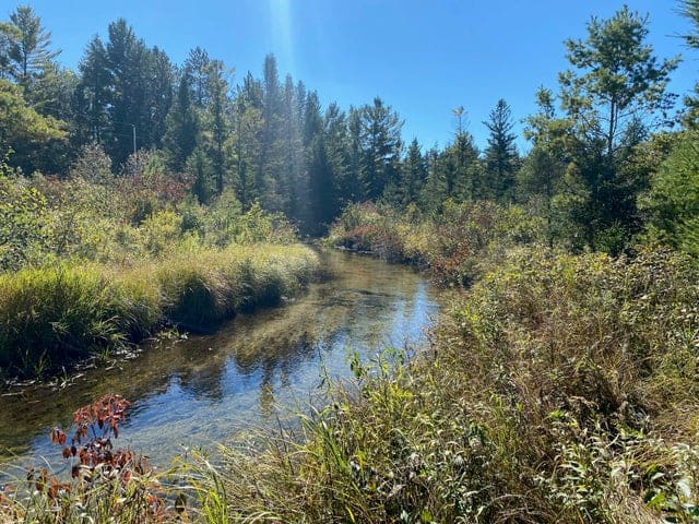 56 Acres of Woodlands & Waterfront Serenity in Atlanta MI