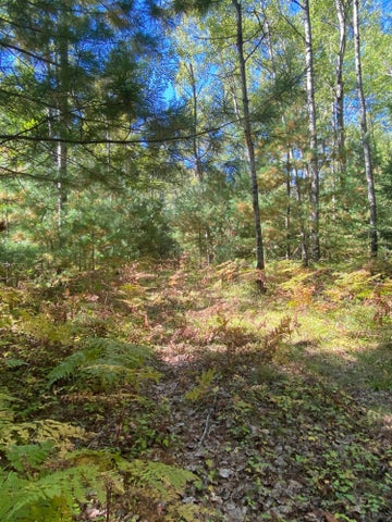 56 Acres of Woodlands & Waterfront Serenity in Atlanta MI