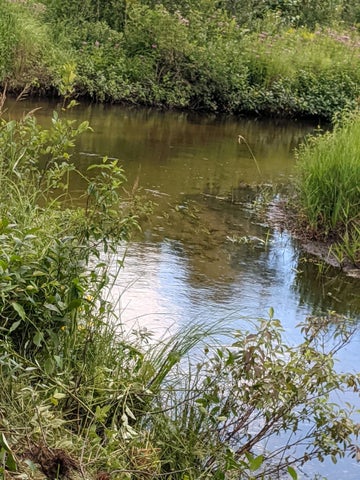 56 Acres of Woodlands & Waterfront Serenity in Atlanta MI