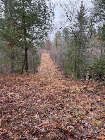 56 Acres of Woodlands & Waterfront Serenity in Atlanta MI