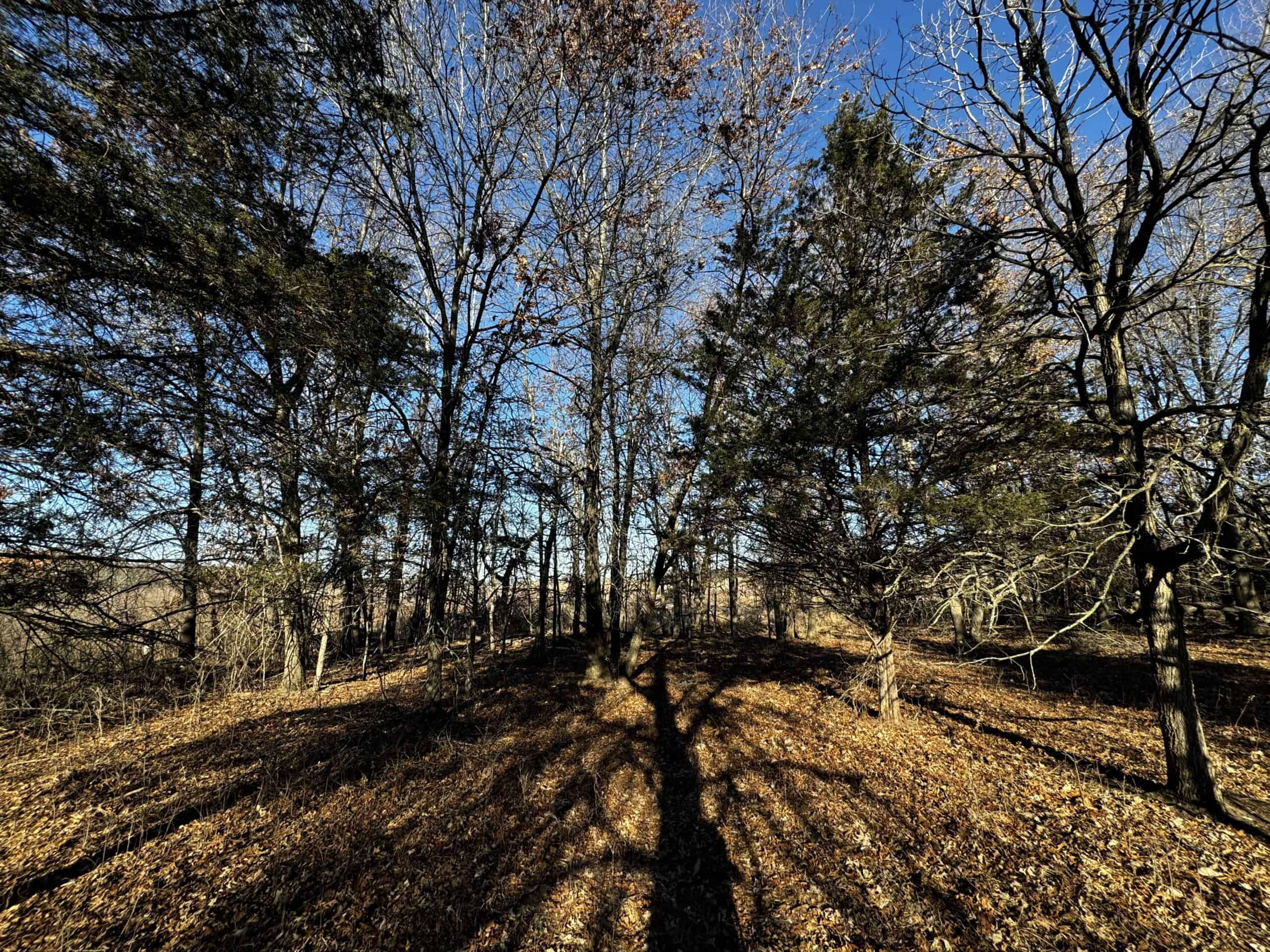 53 acre proven hunting property in Marquette County WI
