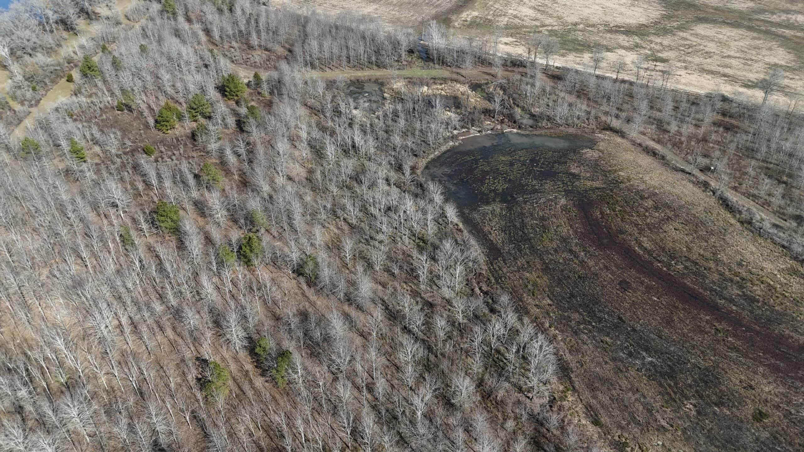 Duck and Deer Hunting Land with a Camp Spot for Sale